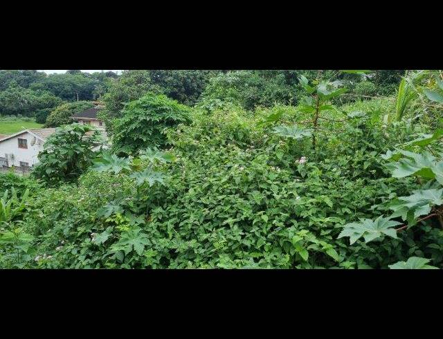 3,699M² VACANT LAND FOR SALE IN AVOCA